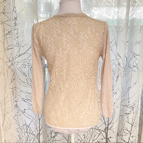 Zara tan brown beige sheer lace back crewneck knit sweater long sleeve top - Picture 6 of 7